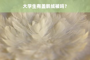 大学生有盖鹅绒被吗？