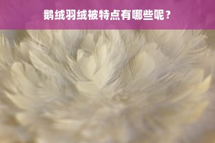 鹅绒羽绒被特点有哪些呢？