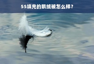 55填充的鹅绒被怎么样？