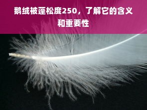 鹅绒被蓬松度250，了解它的含义和重要性