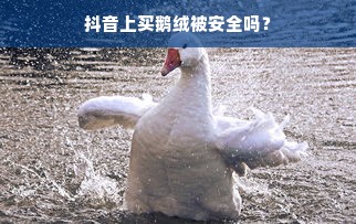 抖音上买鹅绒被安全吗？