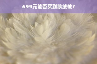 699元能否买到鹅绒被？