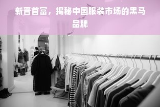 新晋首富，揭秘中国服装市场的黑马品牌