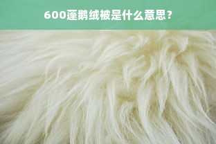 600蓬鹅绒被是什么意思？