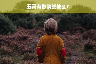 五河有做鹅绒被么？