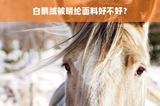 白鹅绒被晴纶面料好不好？