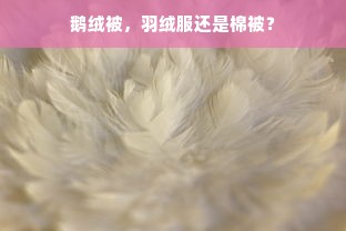 鹅绒被，羽绒服还是棉被？