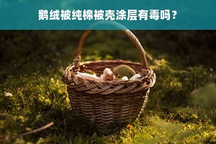 鹅绒被纯棉被壳涂层有毒吗？