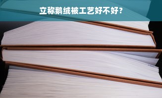 立称鹅绒被工艺好不好？