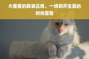 大猩猩的服装品牌，一场别开生面的时尚冒险