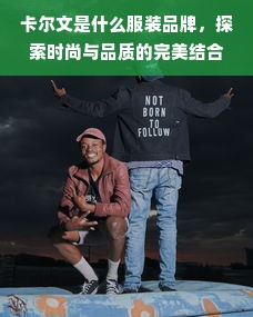 卡尔文是什么服装品牌，探索时尚与品质的完美结合