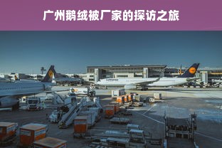 广州鹅绒被厂家的探访之旅