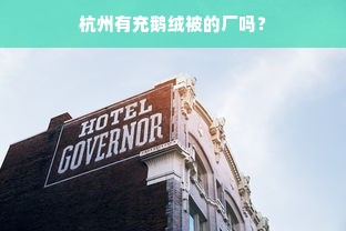 杭州有充鹅绒被的厂吗？