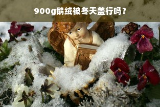 900g鹅绒被冬天盖行吗？