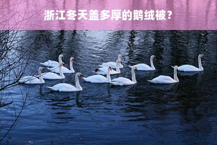 浙江冬天盖多厚的鹅绒被？