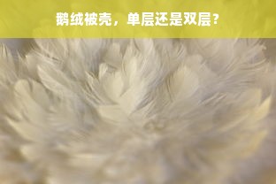 鹅绒被壳，单层还是双层？