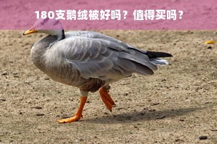 180支鹅绒被好吗？值得买吗？