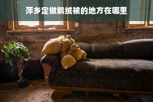 萍乡定做鹅绒被的地方在哪里