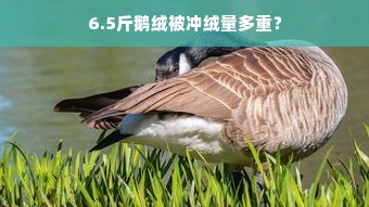 6.5斤鹅绒被冲绒量多重？