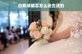 白鹅绒被芯怎么选合适的