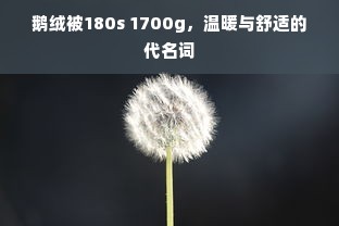 鹅绒被180s 1700g，温暖与舒适的代名词