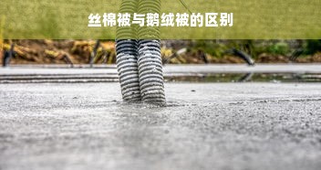 丝棉被与鹅绒被的区别