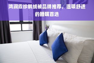 鸿润霞珍鹅绒被品牌推荐，温暖舒适的睡眠首选