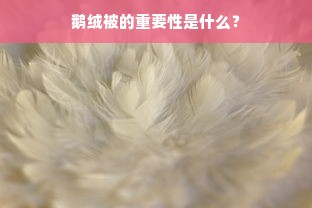 鹅绒被的重要性是什么？