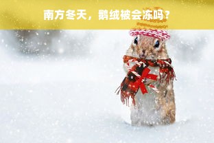 南方冬天，鹅绒被会冻吗？