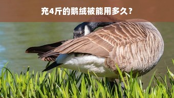 充4斤的鹅绒被能用多久？