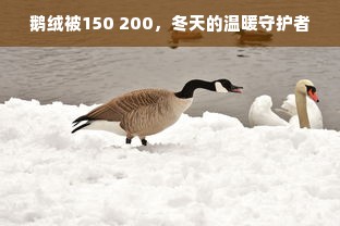 鹅绒被150 200，冬天的温暖守护者