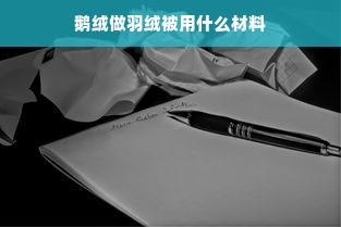 鹅绒做羽绒被用什么材料