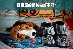 睡眠屋的鹅绒被好不好？