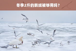 冬季2斤的鹅绒被够用吗？