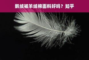 鹅绒被羊绒棉面料好吗？知乎