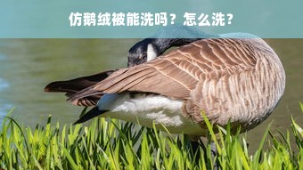 仿鹅绒被能洗吗？怎么洗？