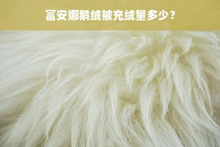 富安娜鹅绒被充绒量多少？