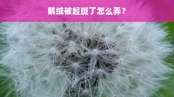 鹅绒被起斑了怎么弄？