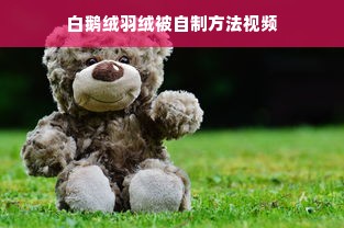 白鹅绒羽绒被自制方法视频