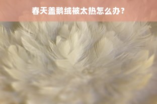 春天盖鹅绒被太热怎么办？