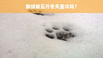 鹅绒被五斤冬天盖冷吗？