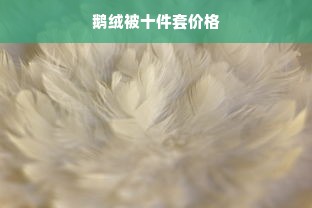 鹅绒被十件套价格