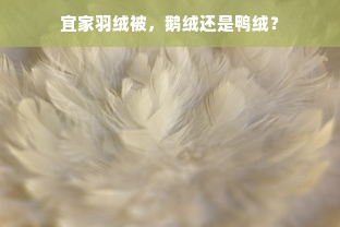 宜家羽绒被，鹅绒还是鸭绒？