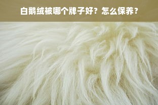 白鹅绒被哪个牌子好？怎么保养？