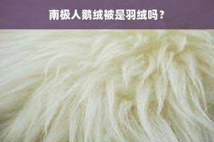 南极人鹅绒被是羽绒吗？