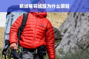 鹅绒被羽绒服为什么很轻