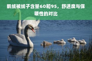 鹅绒被绒子含量60和95，舒适度与保暖性的对比