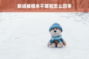 鹅绒被根本不暖和怎么回事