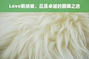 Lovo鹅绒被，品质卓越的睡眠之选