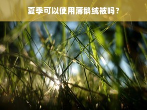 夏季可以使用薄鹅绒被吗？